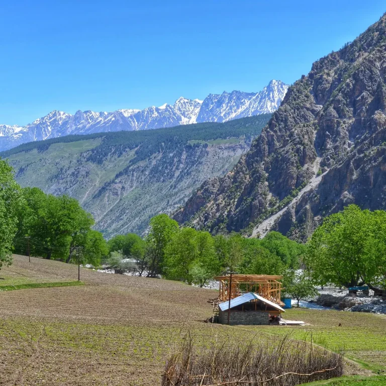 Kalash Uchal Harvest Festival Private Tour – 10 Days / 9 Nights