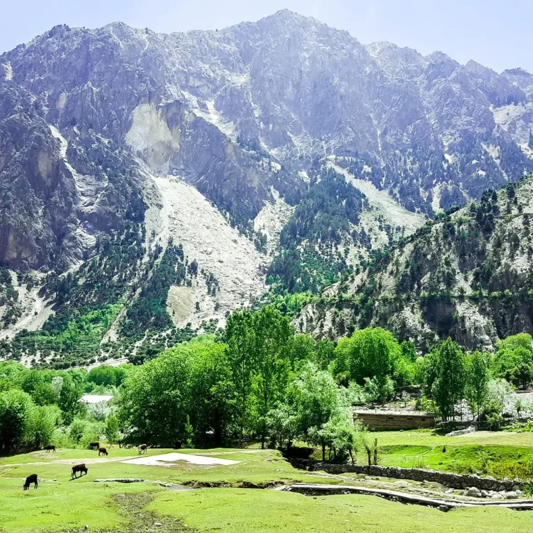 Kalash Uchal Harvest Festival Private Tour – 10 Days / 9 Nights