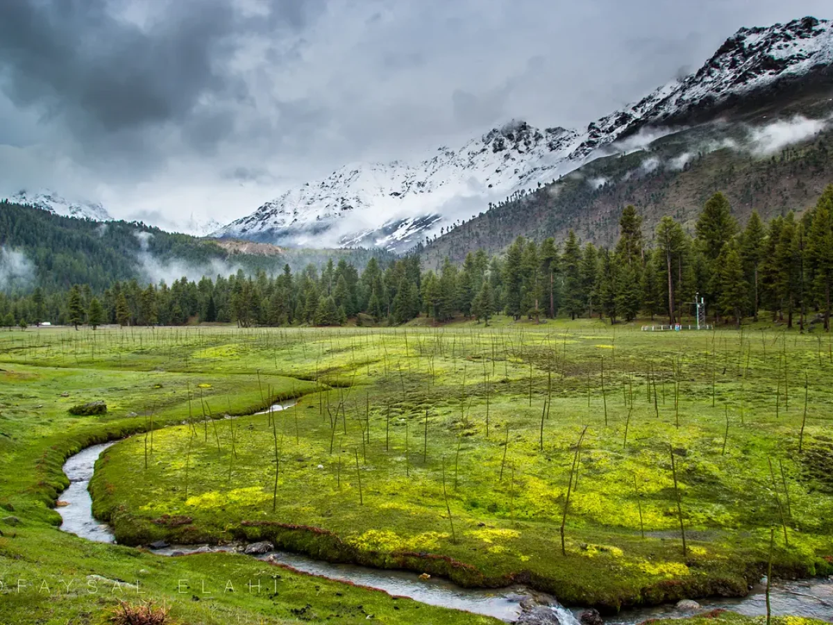 Astore, Rama Lake & Deosai Private Tour – 8 Days / 7 Nights