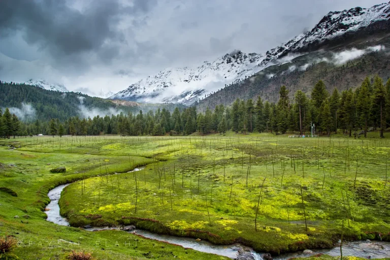 Astore, Rama Lake & Deosai Private Tour – 8 Days / 7 Nights
