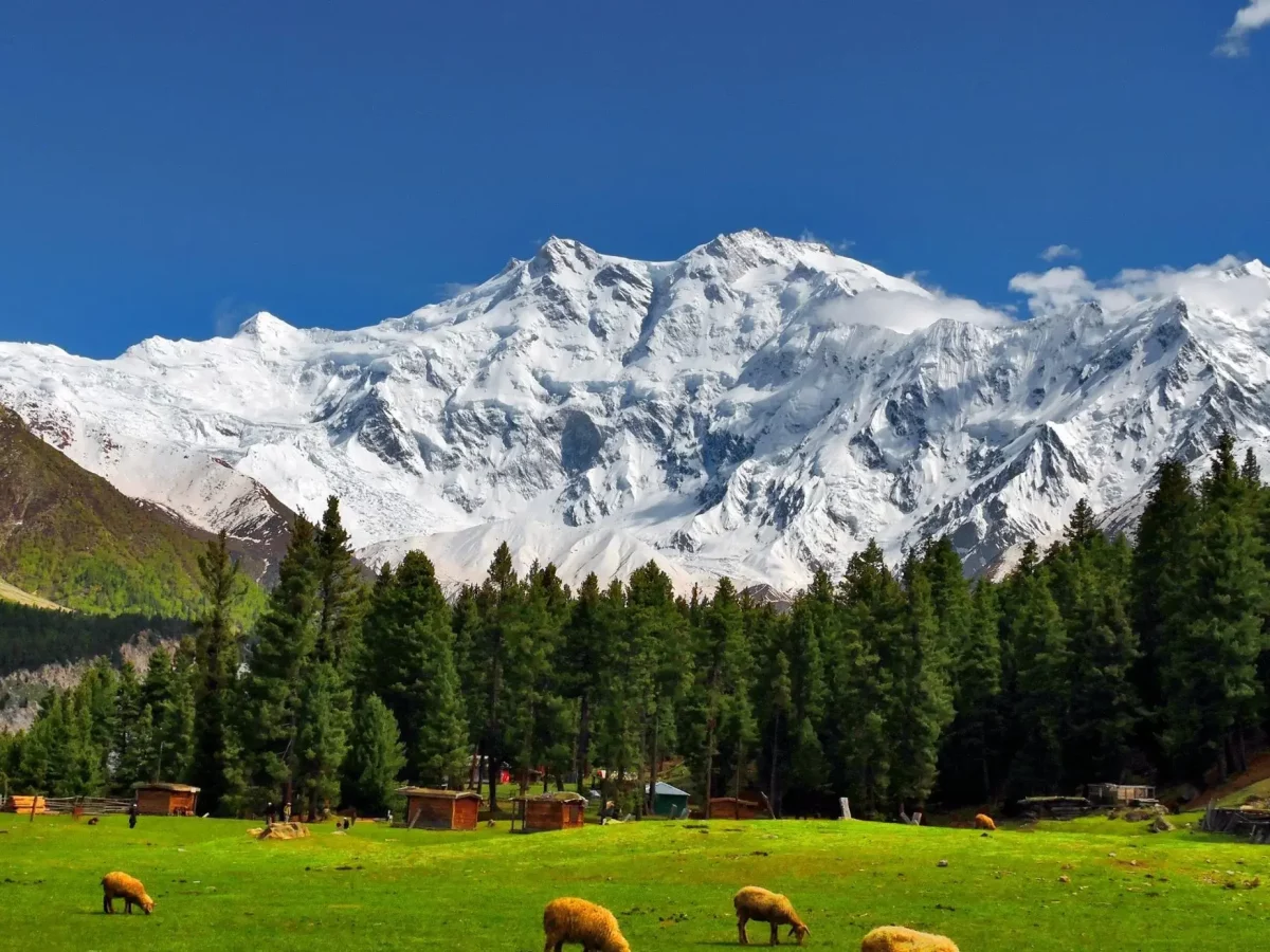 Fairy Meadows view 1 with views of Nanga Parbat in northern Pakistan view 2