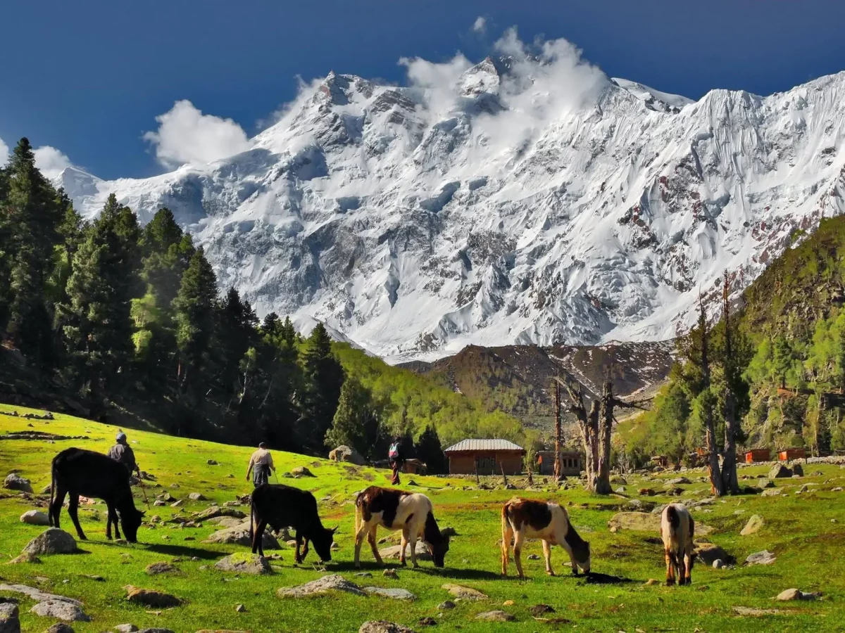 Fairy Meadows view 2 with views of Nanga Parbat in northern Pakistan view 2
