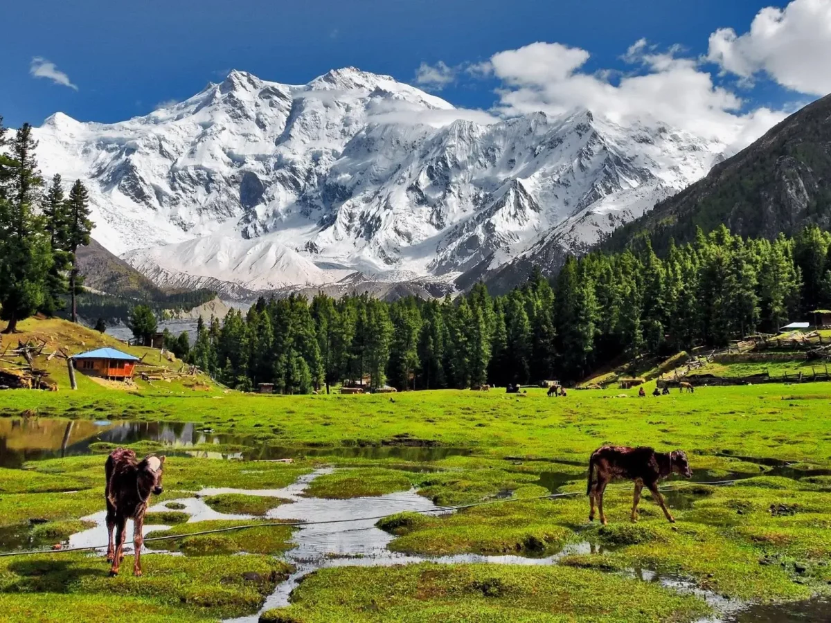 Fairy Meadows view 5 with views of Nanga Parbat in northern Pakistan view 2