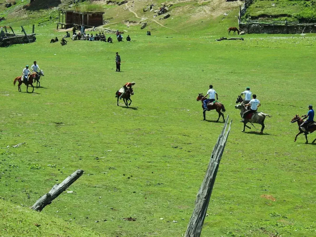 Fairy Meadows view 1 with views of Nanga Parbat in northern Pakistan