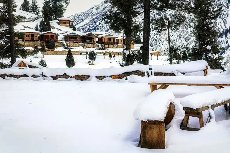 Fairy Meadows and Nanga Parbat Base Camp Trek – 7 Days