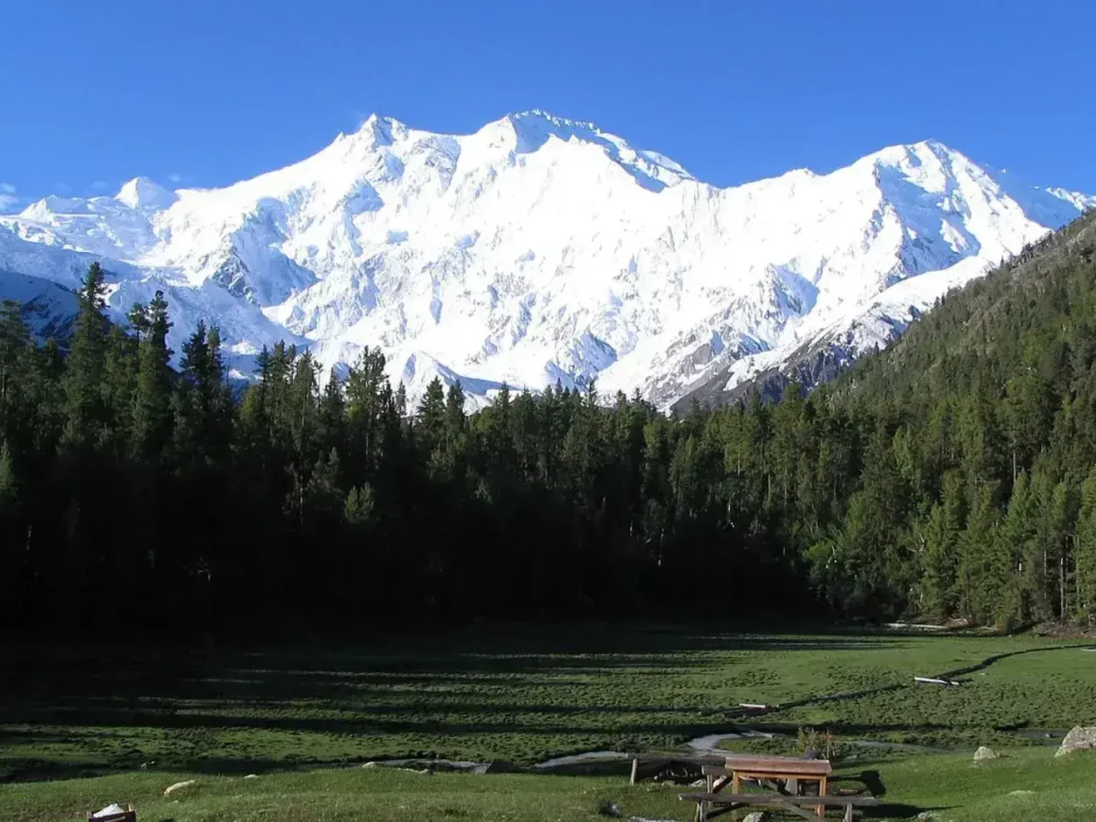 Fairy Meadows view 3 with views of Nanga Parbat in northern Pakistan