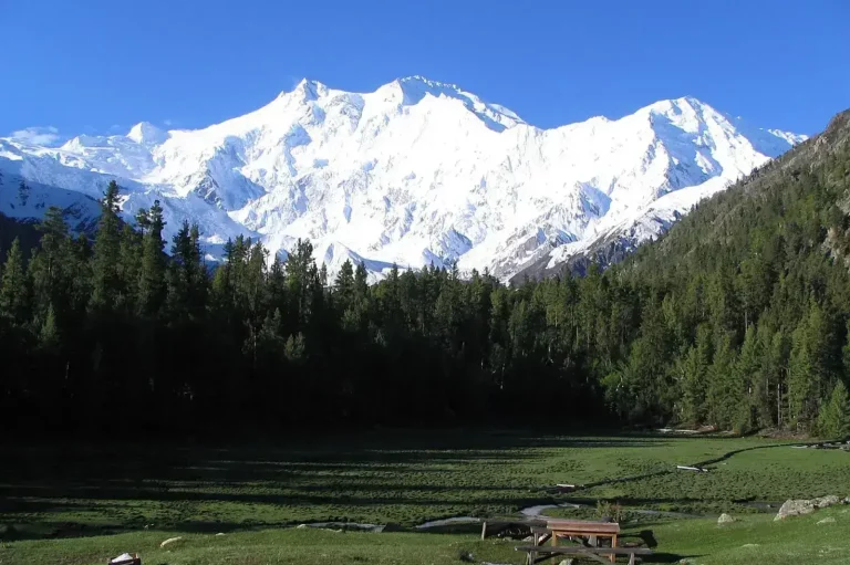 Fairy Meadows and Nanga Parbat Base Camp Trek – 7 Days