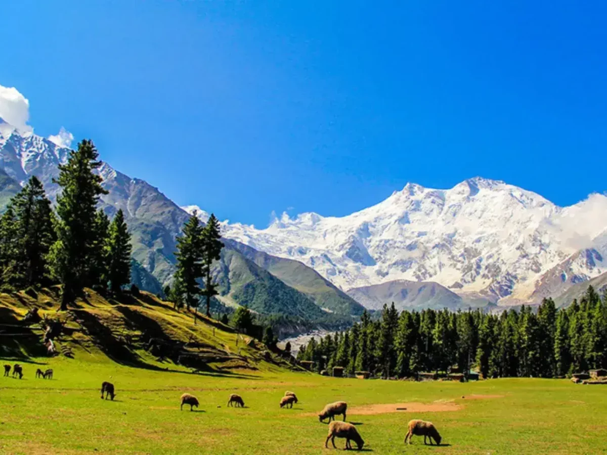 Fairy Meadows view 4 with views of Nanga Parbat in northern Pakistan view 2