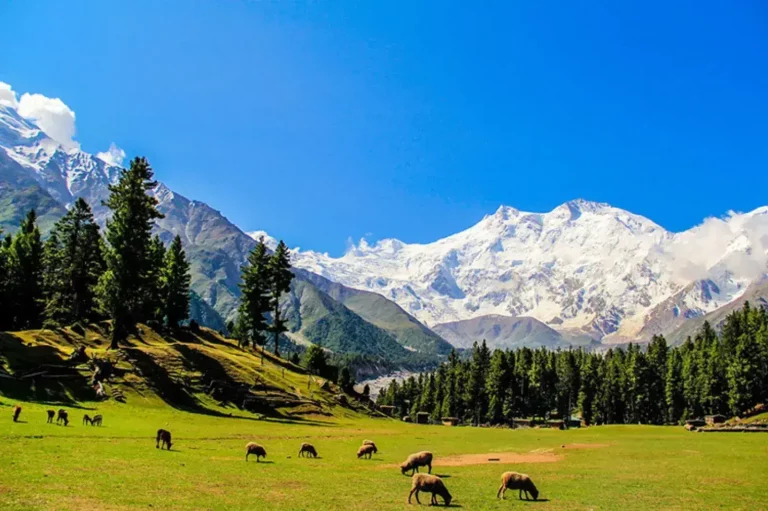 Fairy Meadows and Nanga Parbat Base Camp Trek – 7 Days