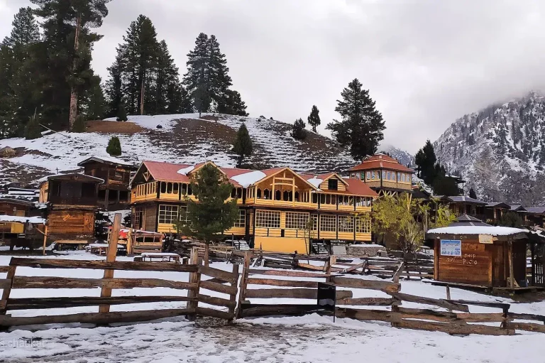 Fairy Meadows and Nanga Parbat Base Camp Trek – 7 Days