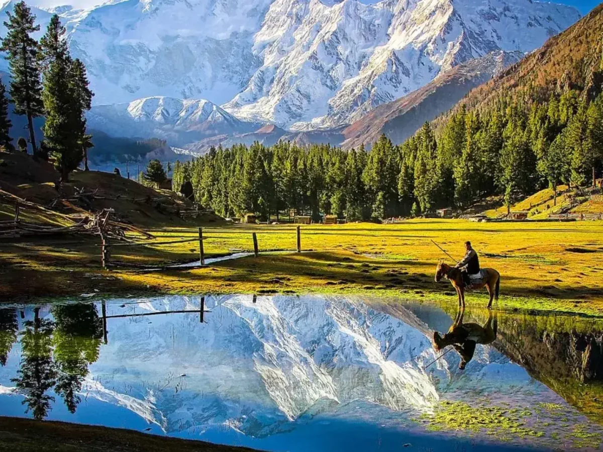 Fairy Meadows and Nanga Parbat Base Camp Trek – 7 Days