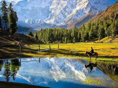 fairy meadows (6)