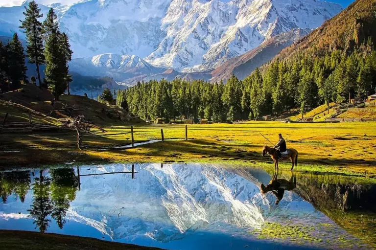 Fairy Meadows and Nanga Parbat Base Camp Trek – 7 Days