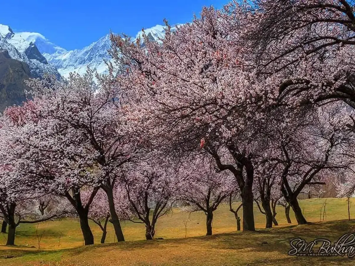 Spring landscape in Hunza Valley