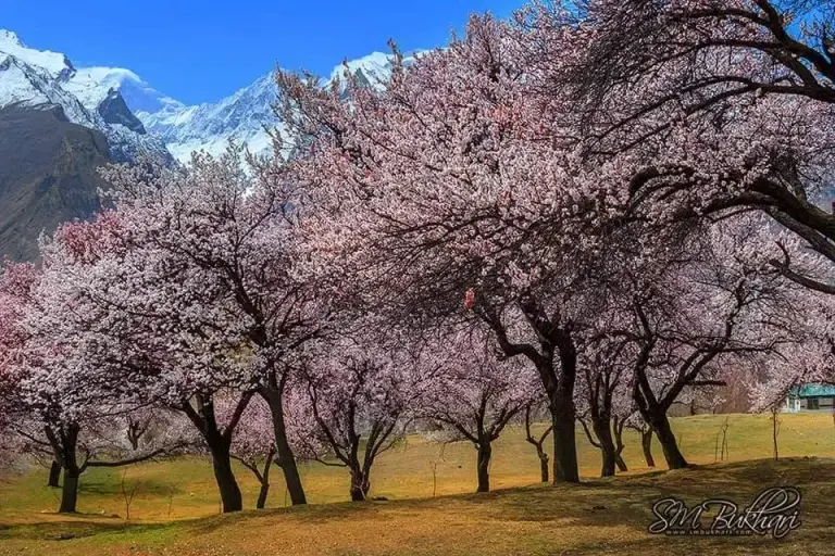 Private Hunza Valley Tour – 4 Days