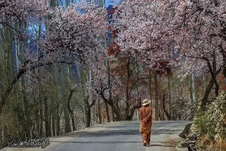 Hunza and Skardu Spring Blossom Tour – 10 Days / 9 Nights