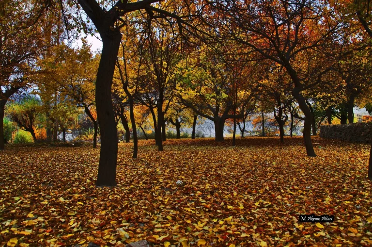 Luxury Hunza Autumn Tour
