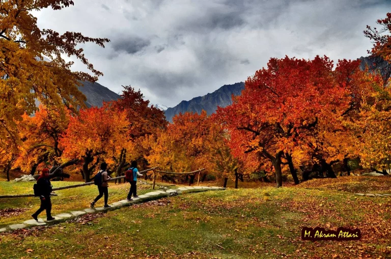 Luxury Hunza Autumn Tour