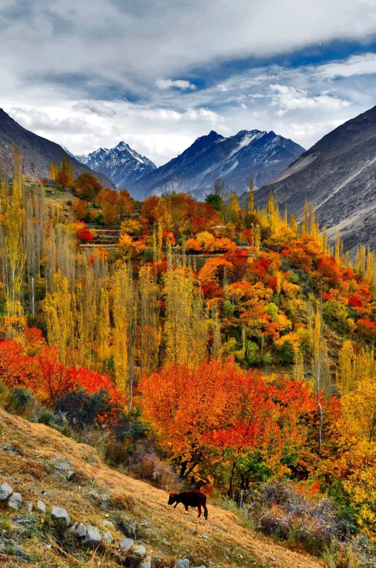 Luxury Hunza Autumn Tour