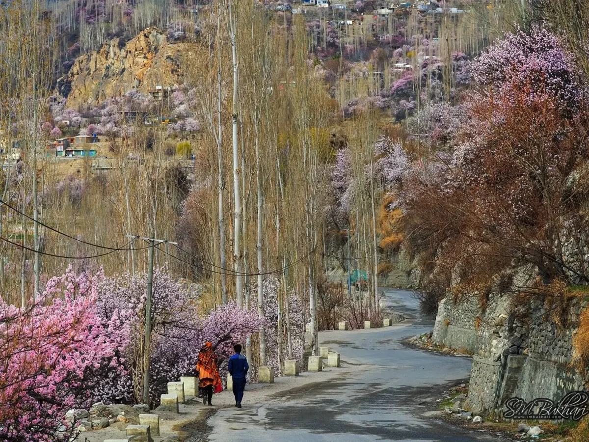 Hunza Valley in spring