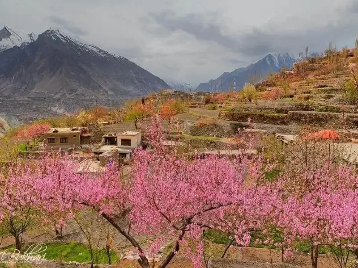 Hunza spring tour landscape
