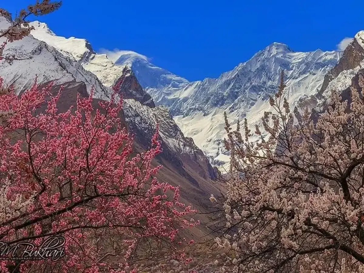 Hunza Valley during the spring blossom season