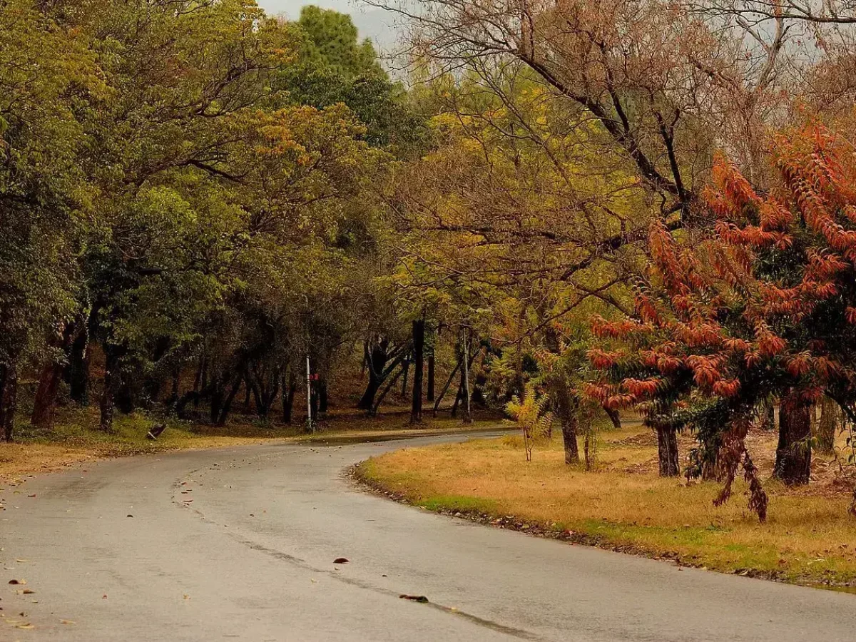 Islamabad city landmark view