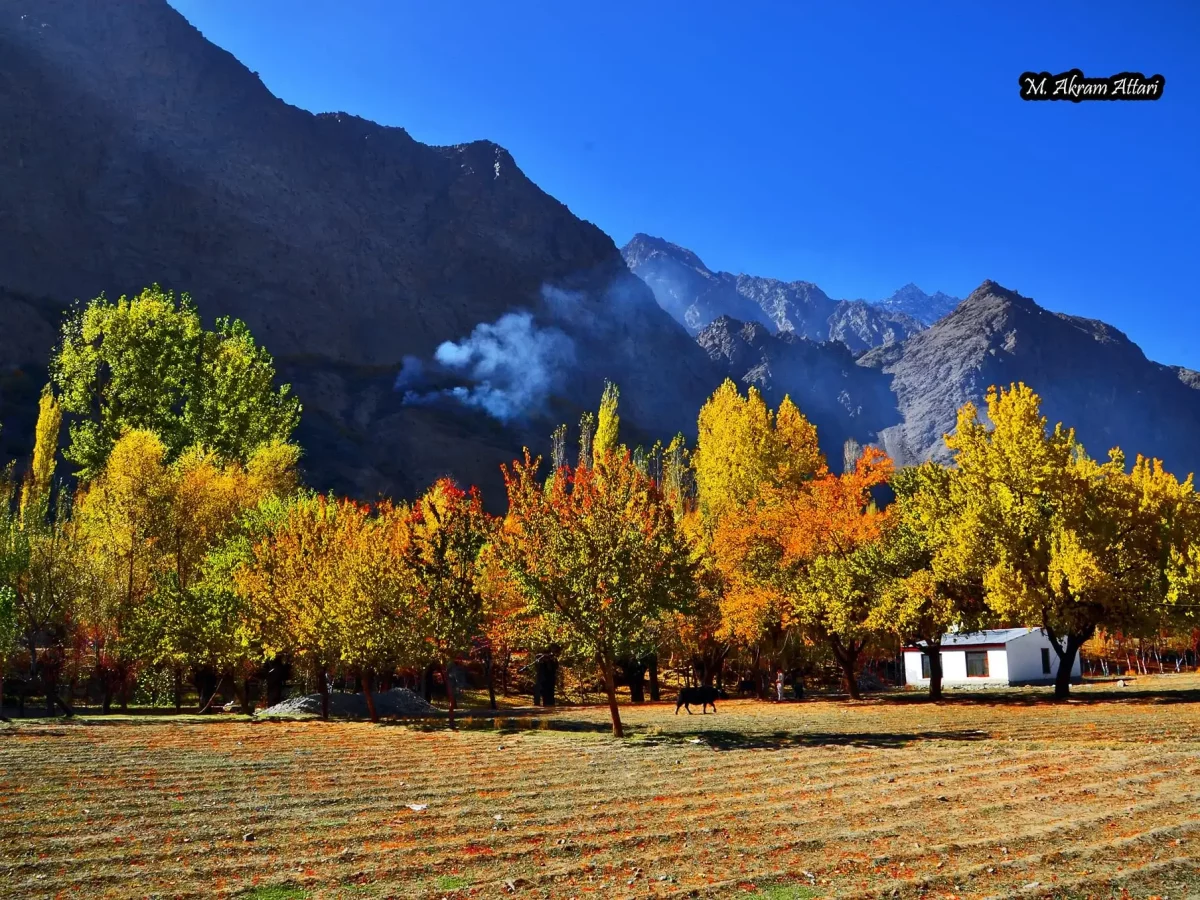 Autumn colours across Baltistan, Pakistan