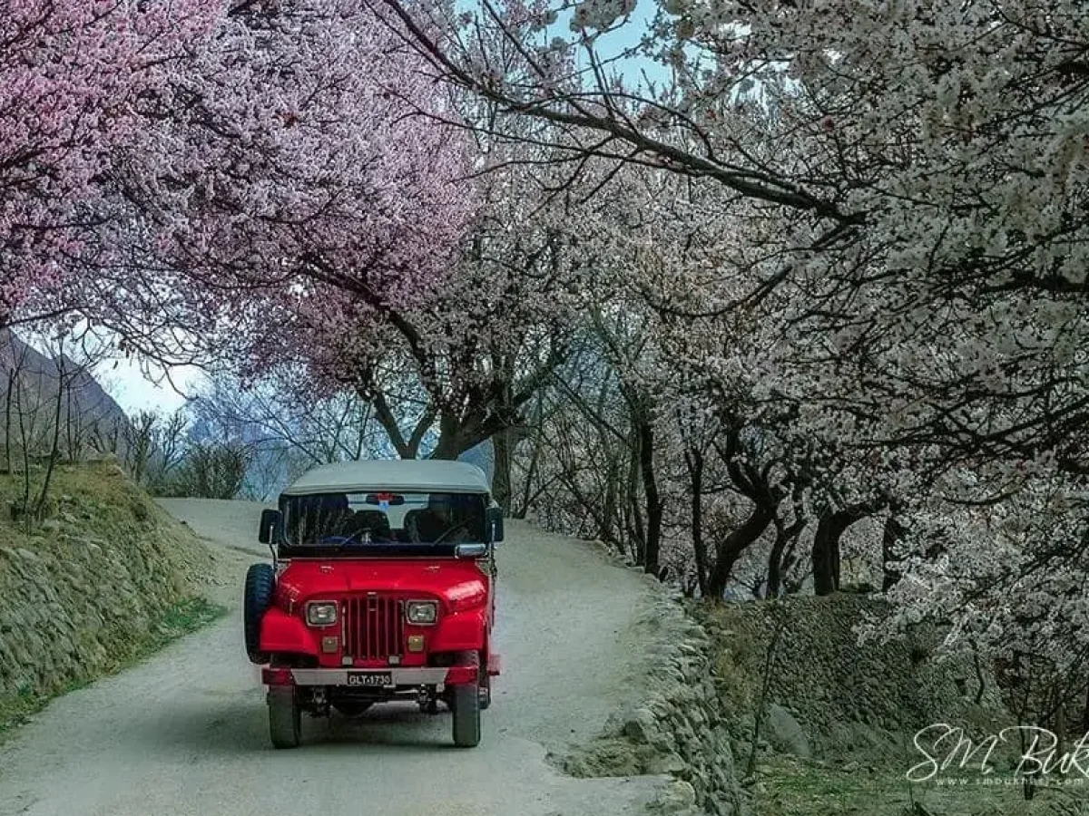 Spring blossoms in Hunza Valley, Gilgit-Baltistan