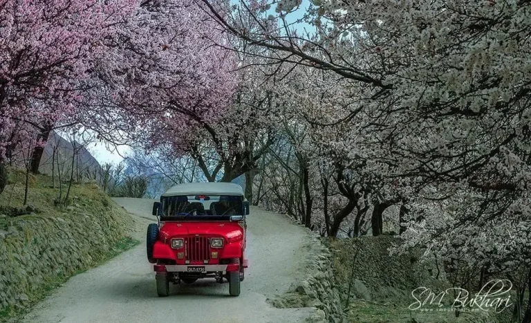 Hunza Valley Private Road Tour – 6 Days / 5 Nights