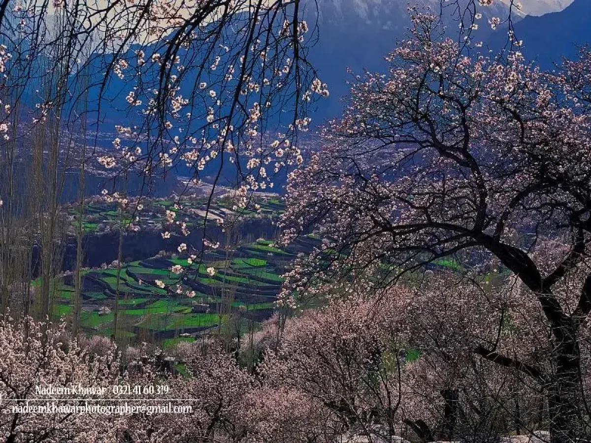 Hunza Valley Private Road Tour – 6 Days / 5 Nights