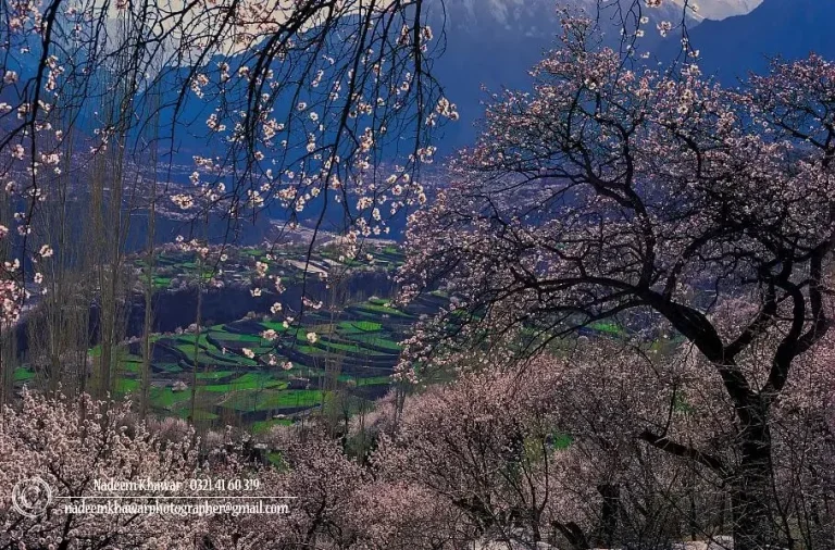 Hunza Valley Private Road Tour – 6 Days / 5 Nights