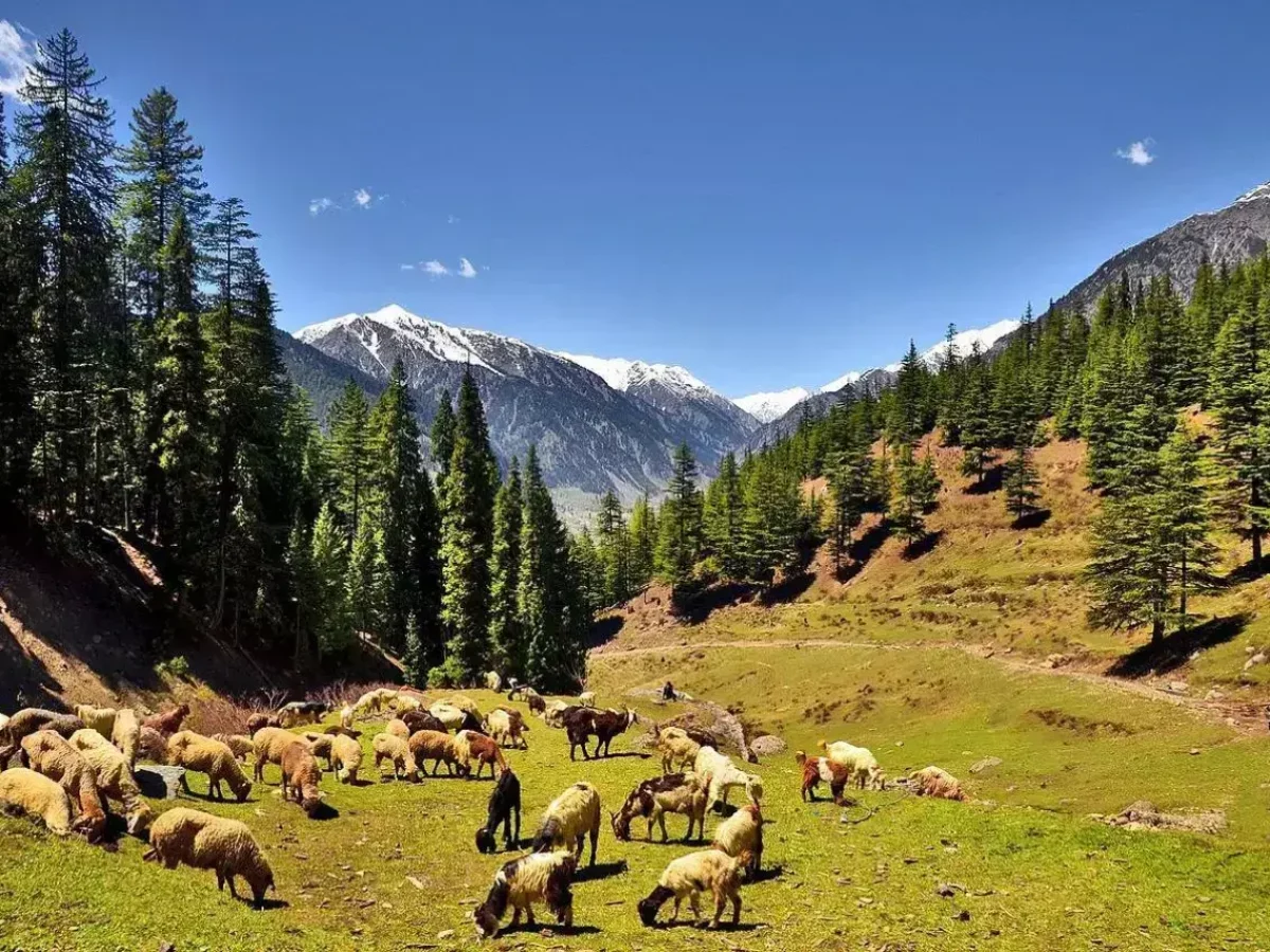 Swat Valley landscape view 2 in northern Pakistan